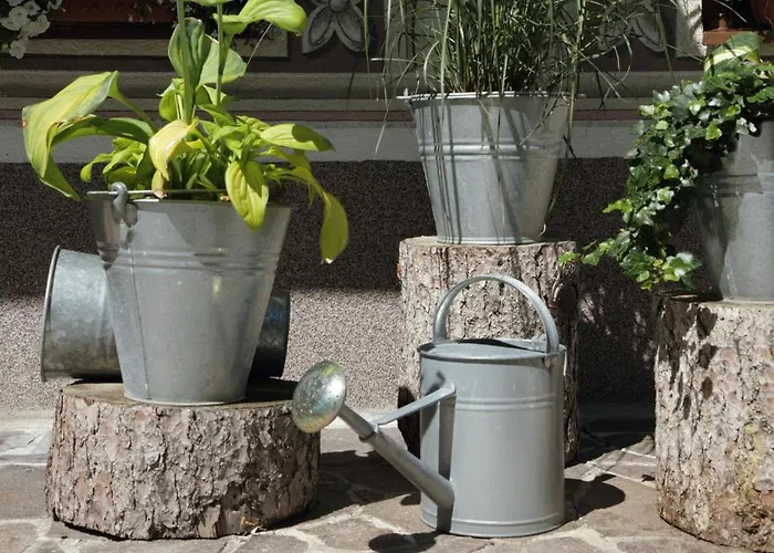 Haus Elisabeth Affittacamere 3*