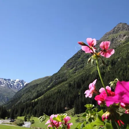 בית הארחה Haus Elisabeth 3*