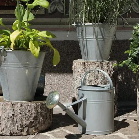 Haus Elisabeth בית הארחה 3*